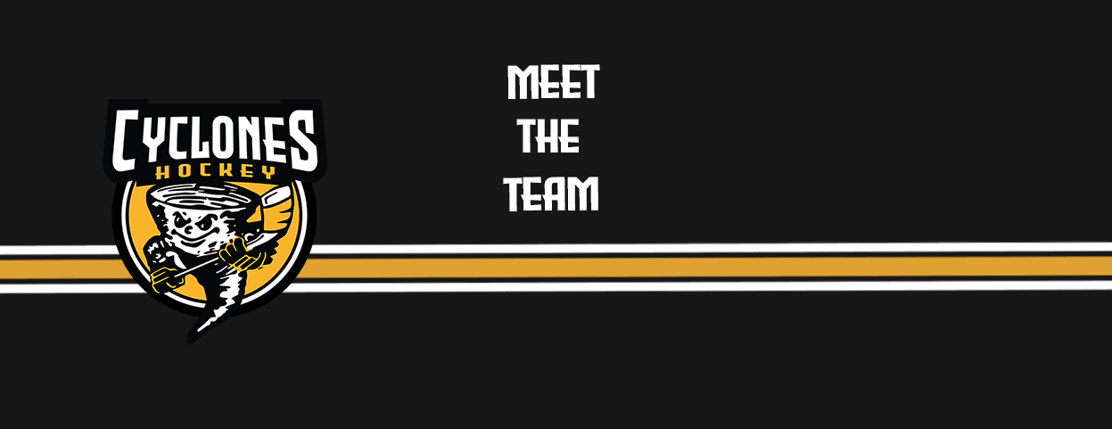 meet the team slider