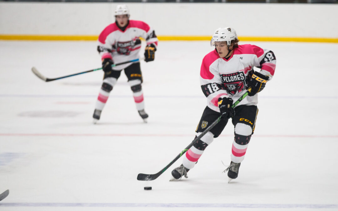 Pink The Rink Jersey Auction