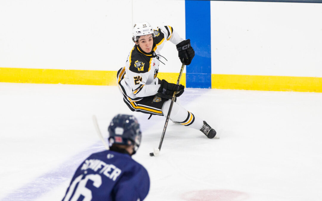 Garrow called up to NAHL