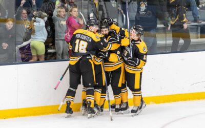 Series Preview vs St. Louis