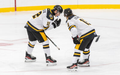 Series Preview vs St. Louis