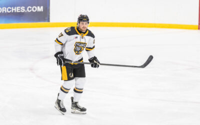 Series Preview vs Rochester