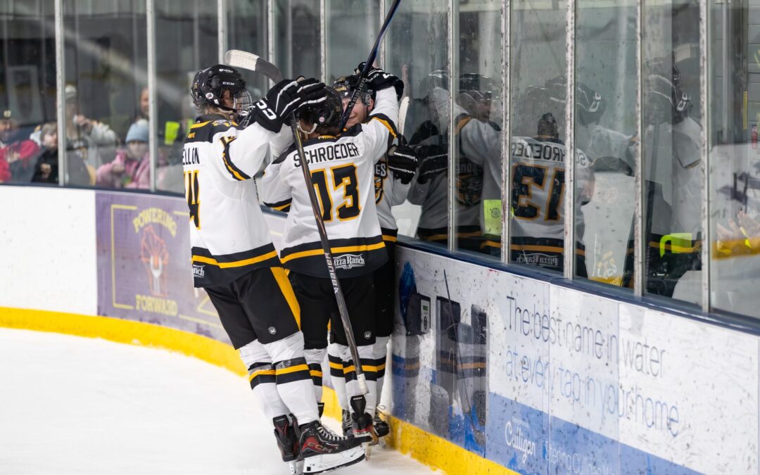 Game Preview vs Rochester