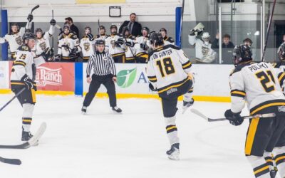 Wausau hosts Rochester Feb. 27 and 28
