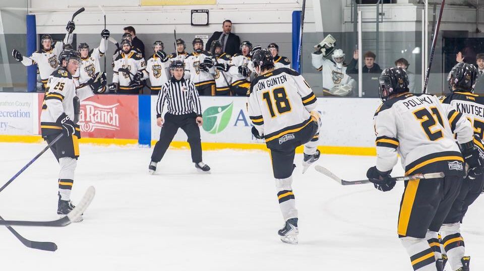 Wausau hosts Rochester Feb. 27 and 28